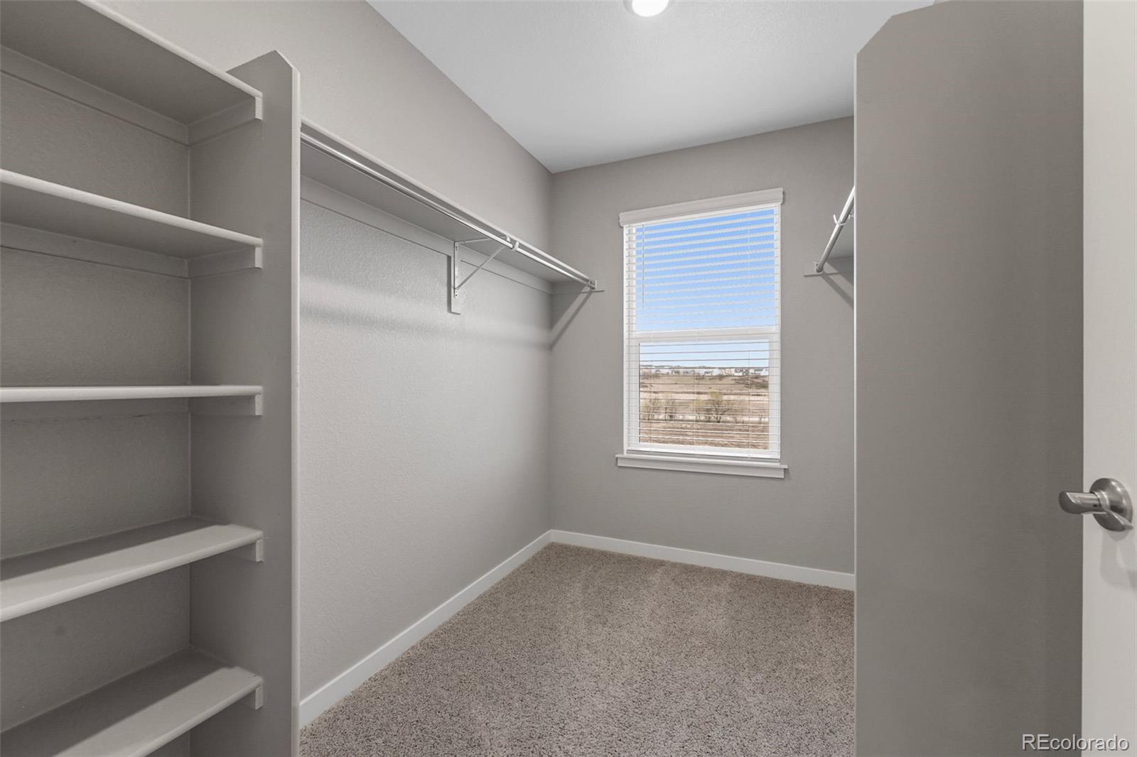 MLS Image #17 for 17311  rose mallow street,parker, Colorado