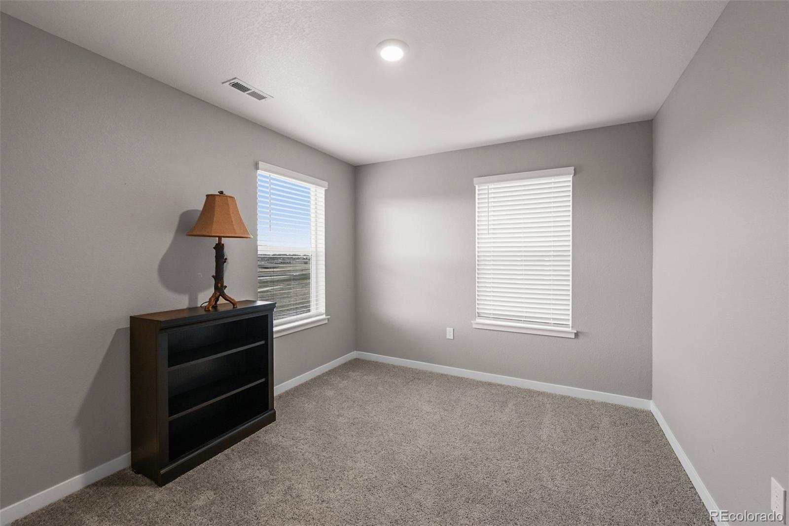 MLS Image #19 for 17311  rose mallow street,parker, Colorado