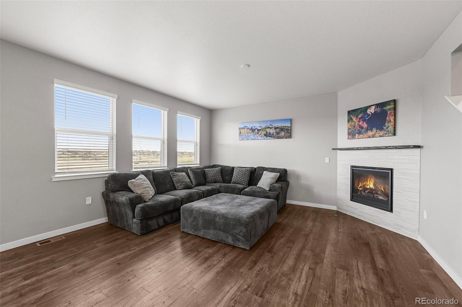 MLS Image #7 for 17311  rose mallow street,parker, Colorado