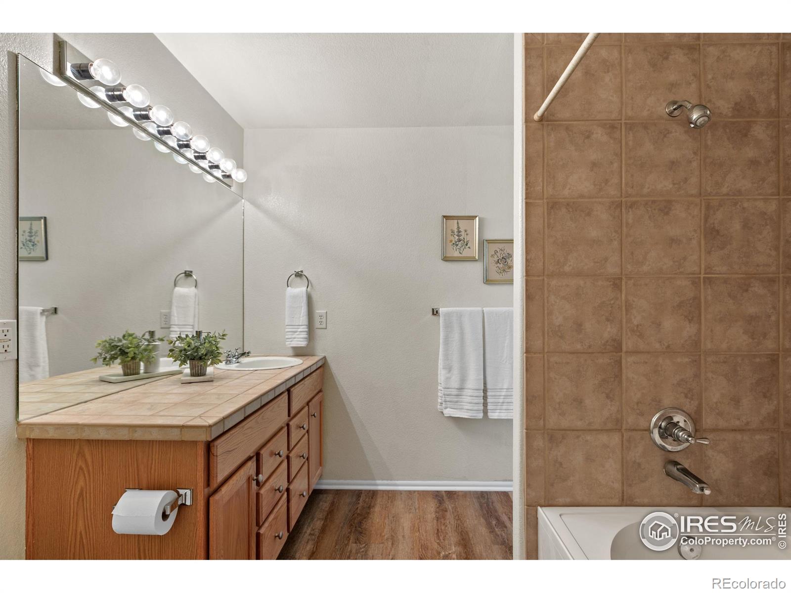MLS Image #30 for 2821  harvest park lane,fort collins, Colorado