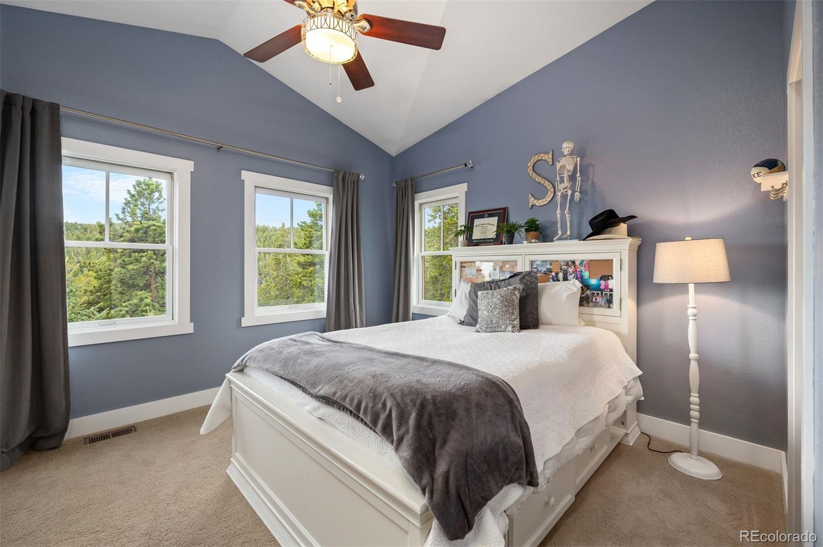 MLS Image #27 for 1055  divide view drive,golden, Colorado