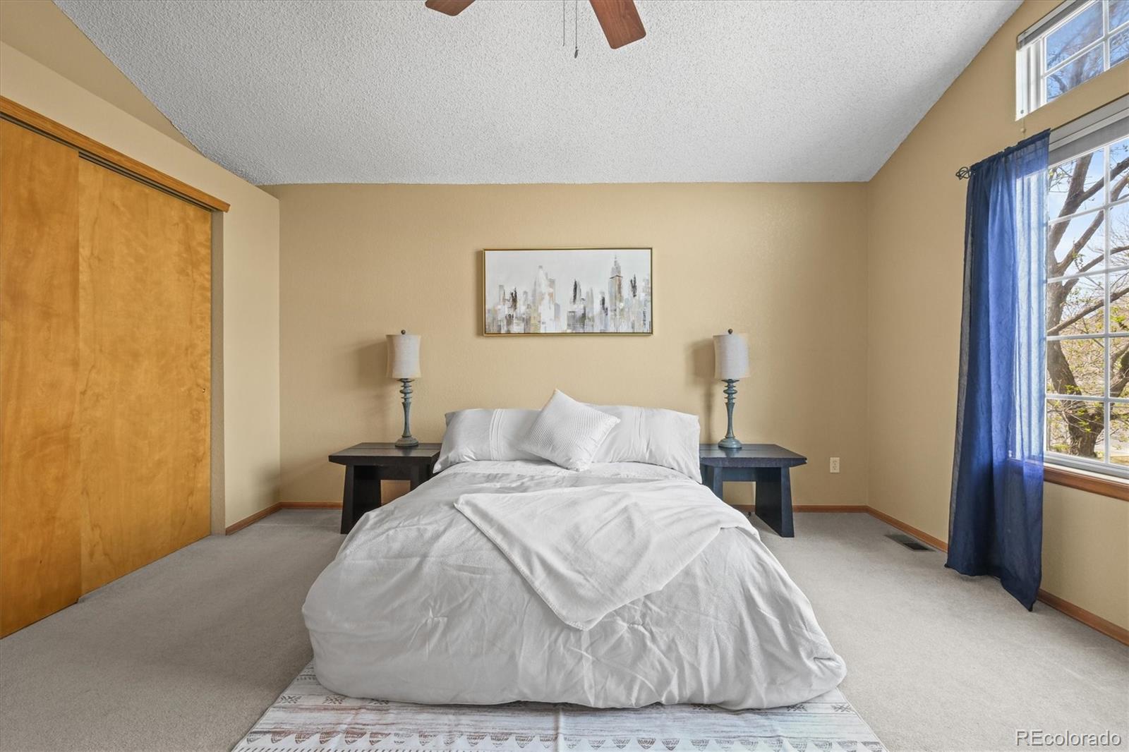 MLS Image #12 for 12552  tammywood street,broomfield, Colorado