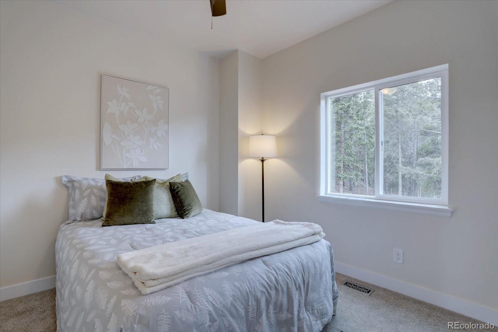 MLS Image #18 for 31932  steven way,conifer, Colorado
