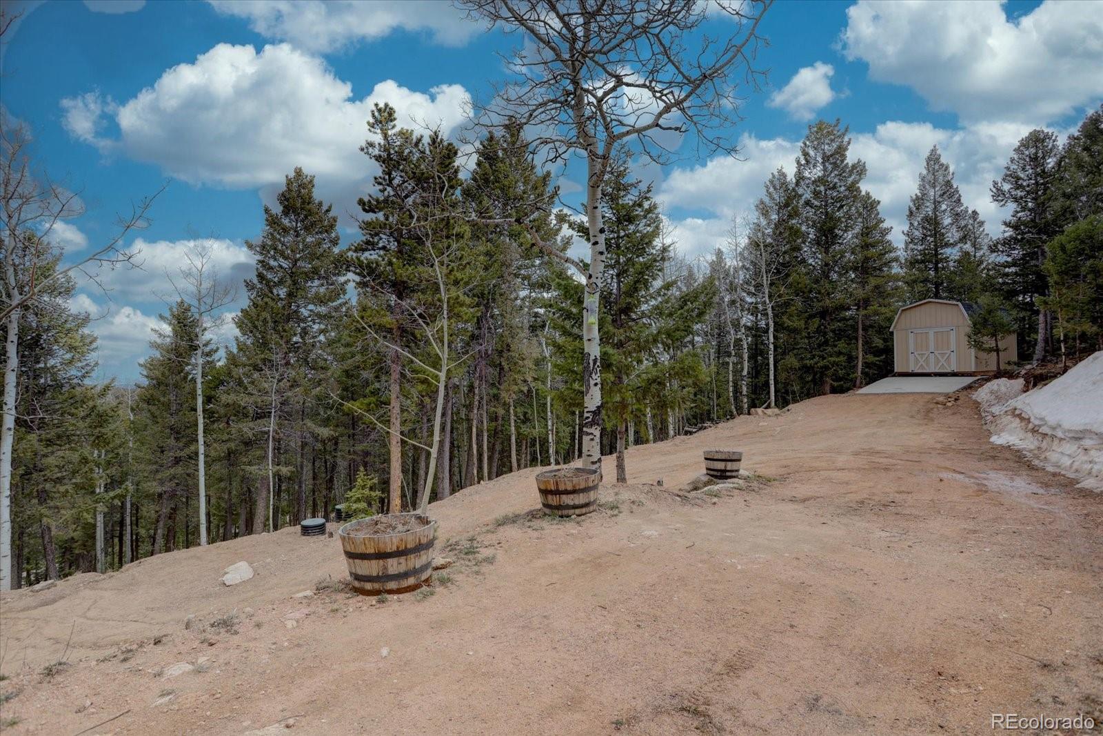 MLS Image #30 for 31932  steven way,conifer, Colorado