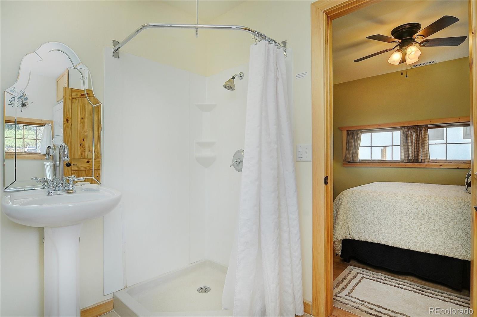 MLS Image #19 for 226 s san juan avenue,buena vista, Colorado