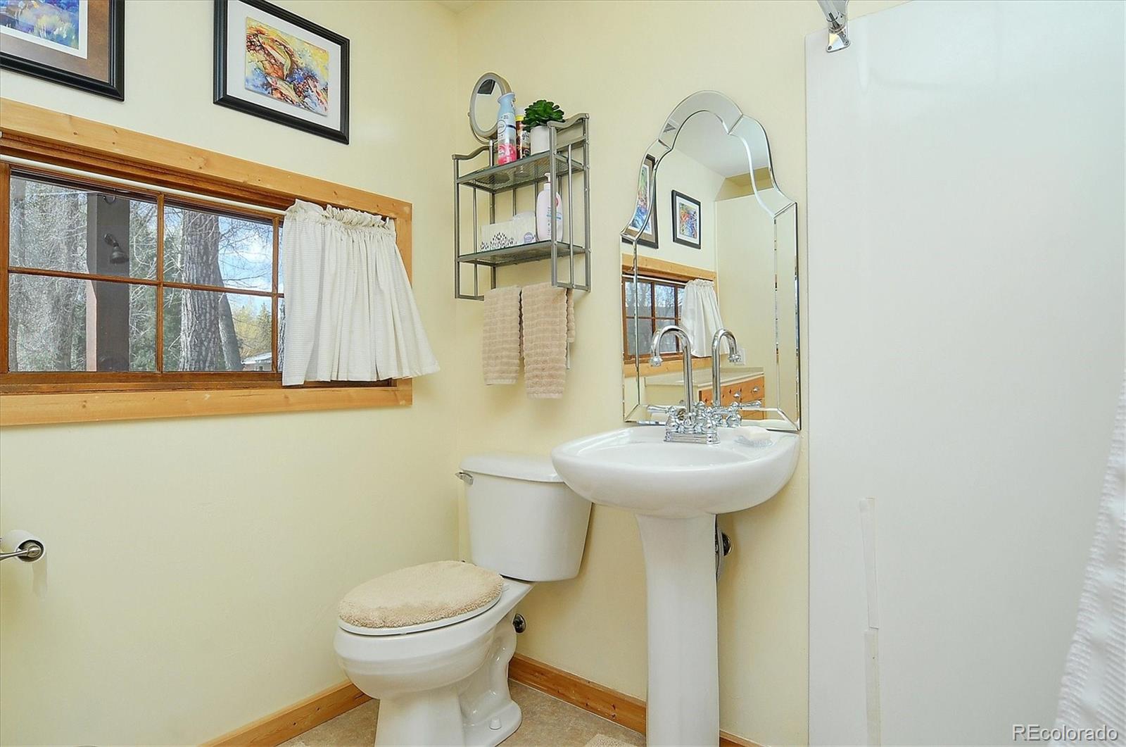 MLS Image #20 for 226 s san juan avenue,buena vista, Colorado