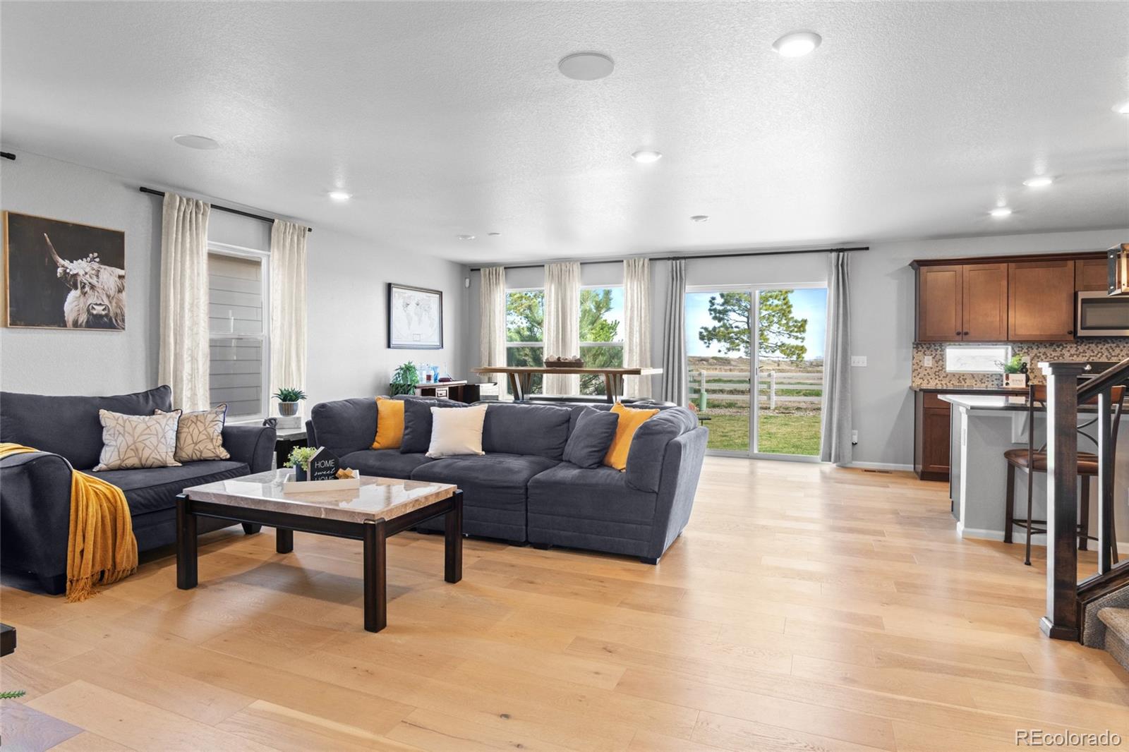MLS Image #2 for 6185  saddle bow avenue,parker, Colorado
