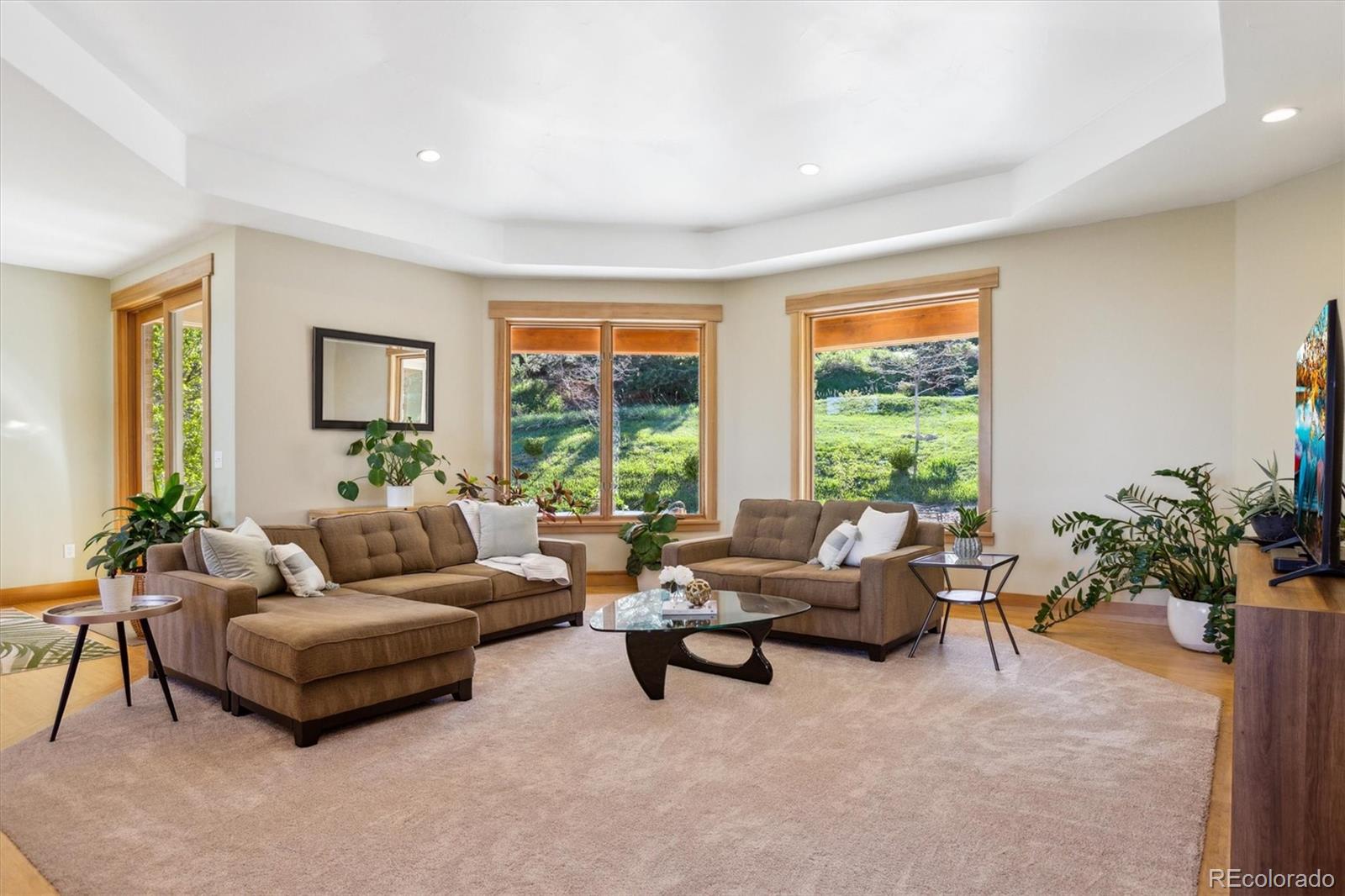 MLS Image #14 for 4305  easley road,golden, Colorado