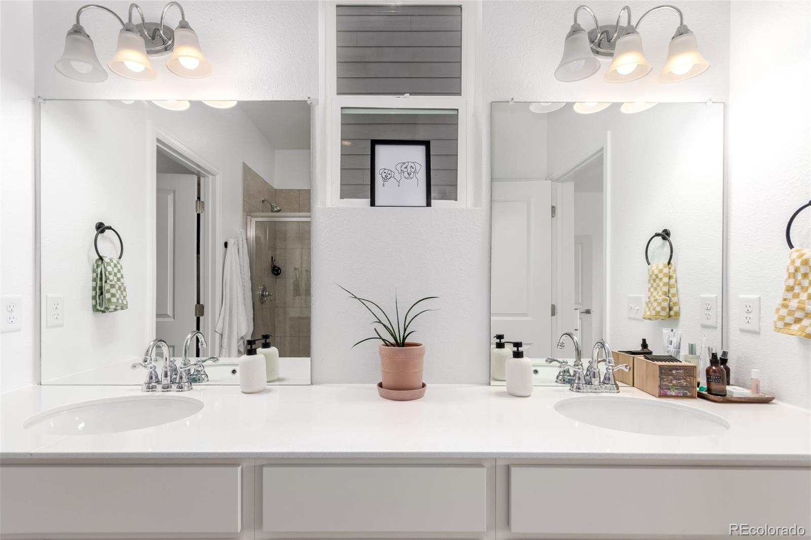 MLS Image #17 for 509  high point drive,longmont, Colorado