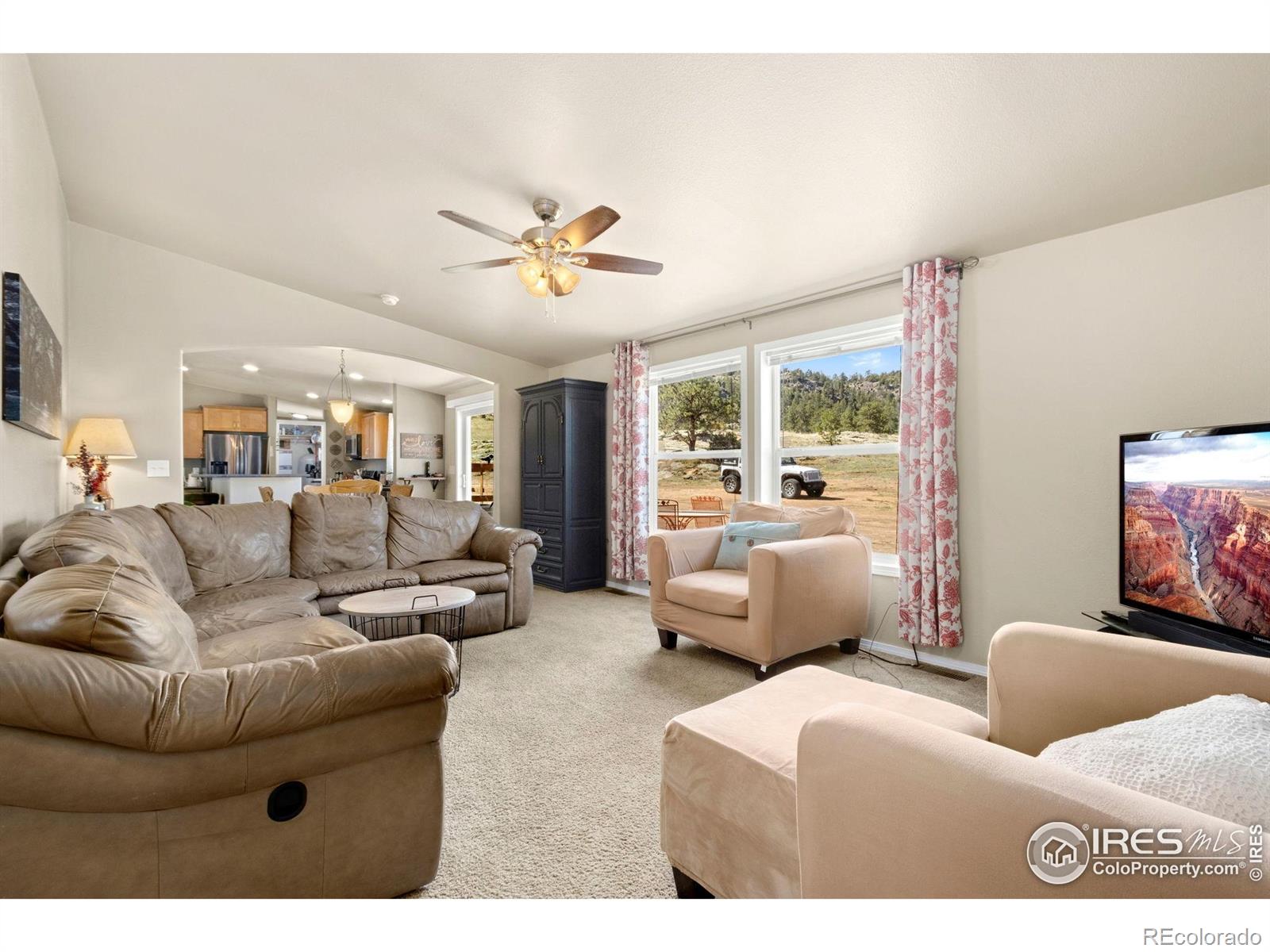 MLS Image #13 for 801 w county road 82e ,livermore, Colorado