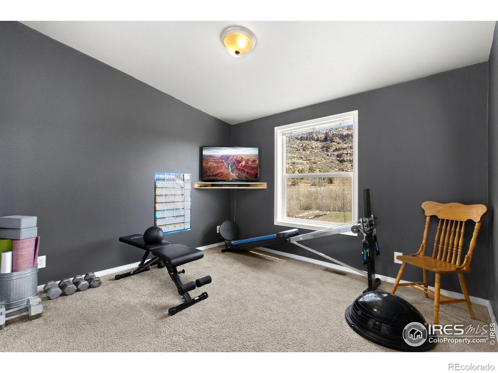 MLS Image #20 for 801 w county road 82e ,livermore, Colorado