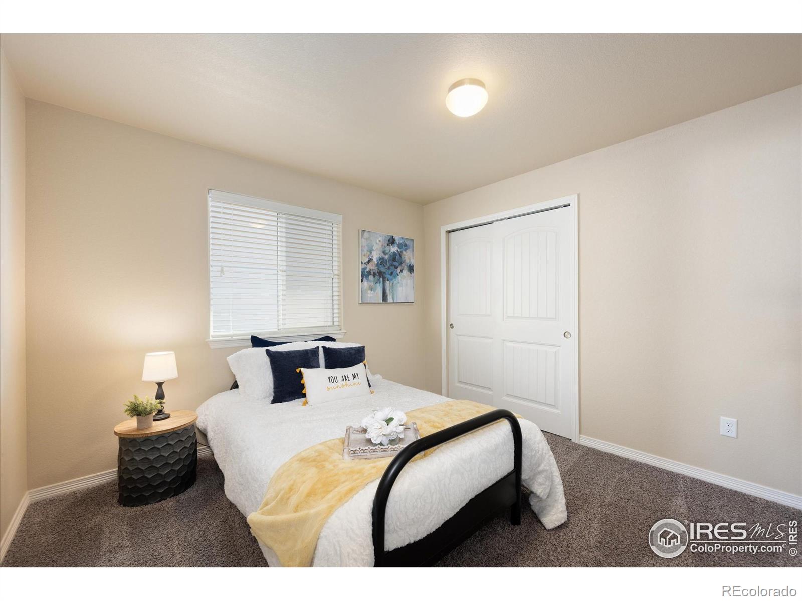 MLS Image #11 for 2433  tabor street,berthoud, Colorado