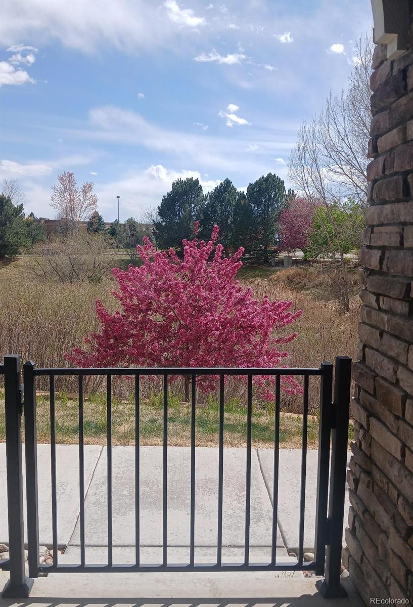 MLS Image #16 for 4612  hahns peak drive,loveland, Colorado