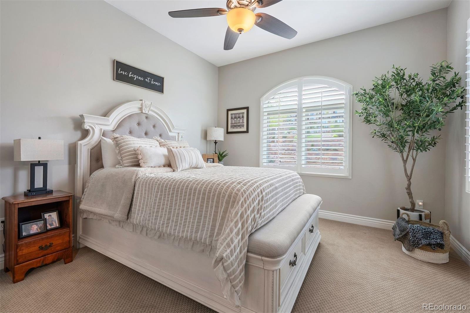 MLS Image #24 for 4541  tierra alta drive,castle rock, Colorado