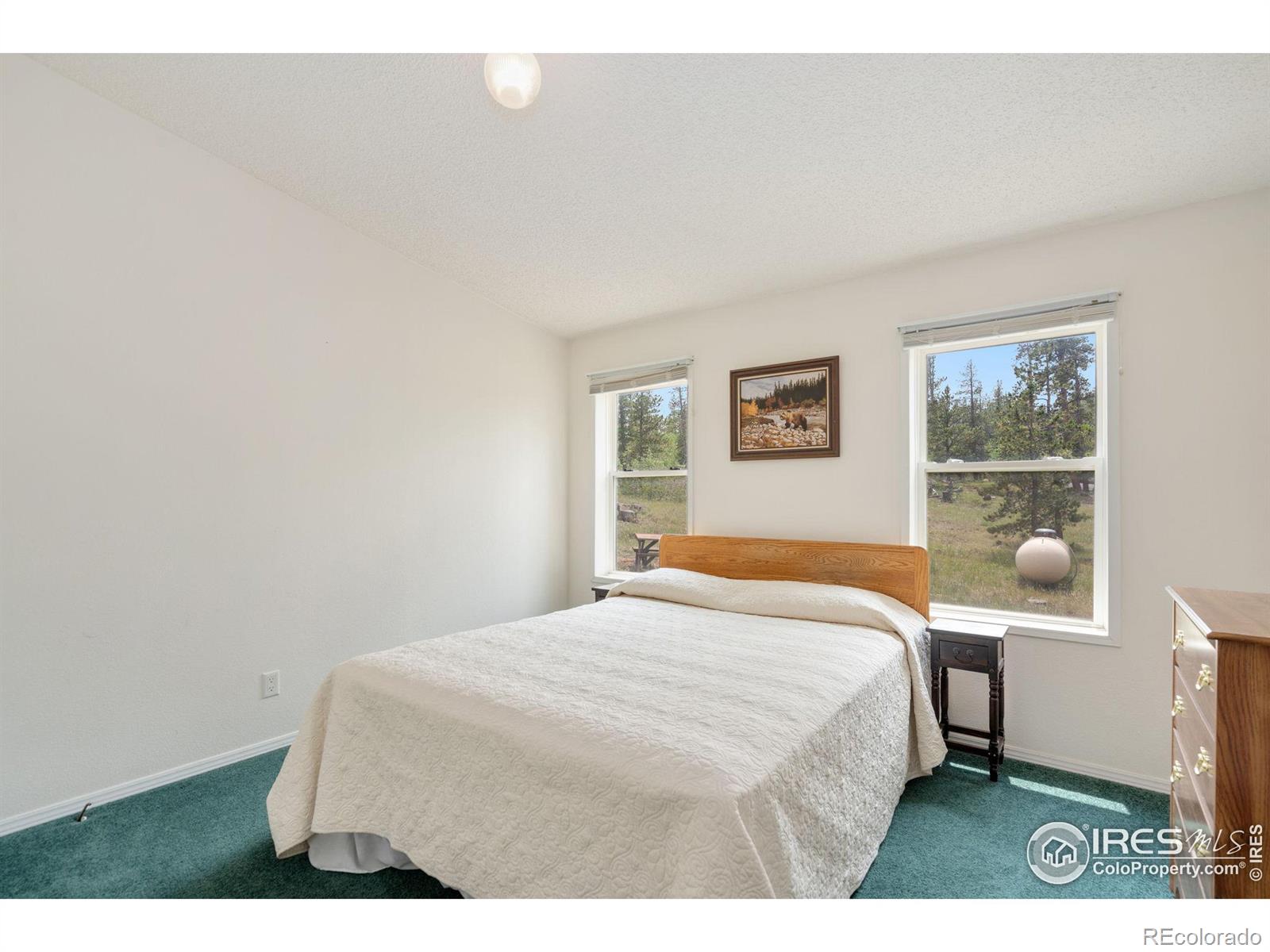 MLS Image #15 for 5547 n county road 73c ,red feather lakes, Colorado