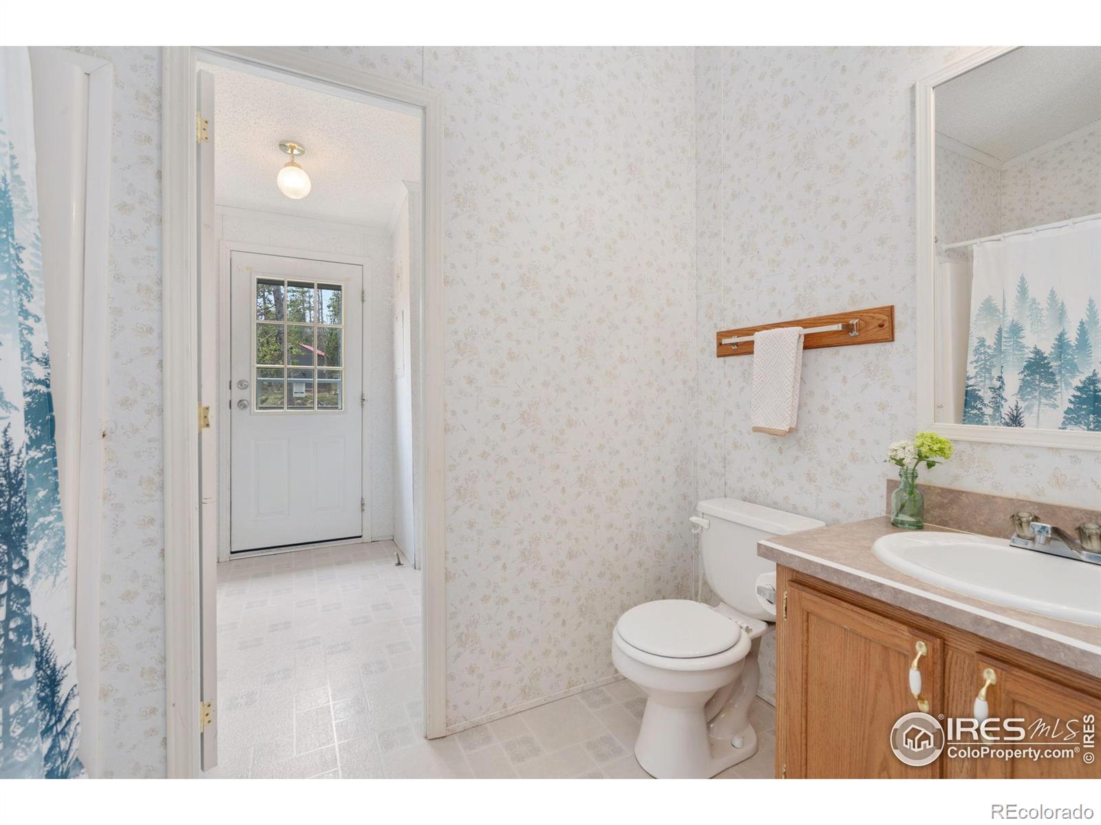 MLS Image #17 for 5547 n county road 73c ,red feather lakes, Colorado