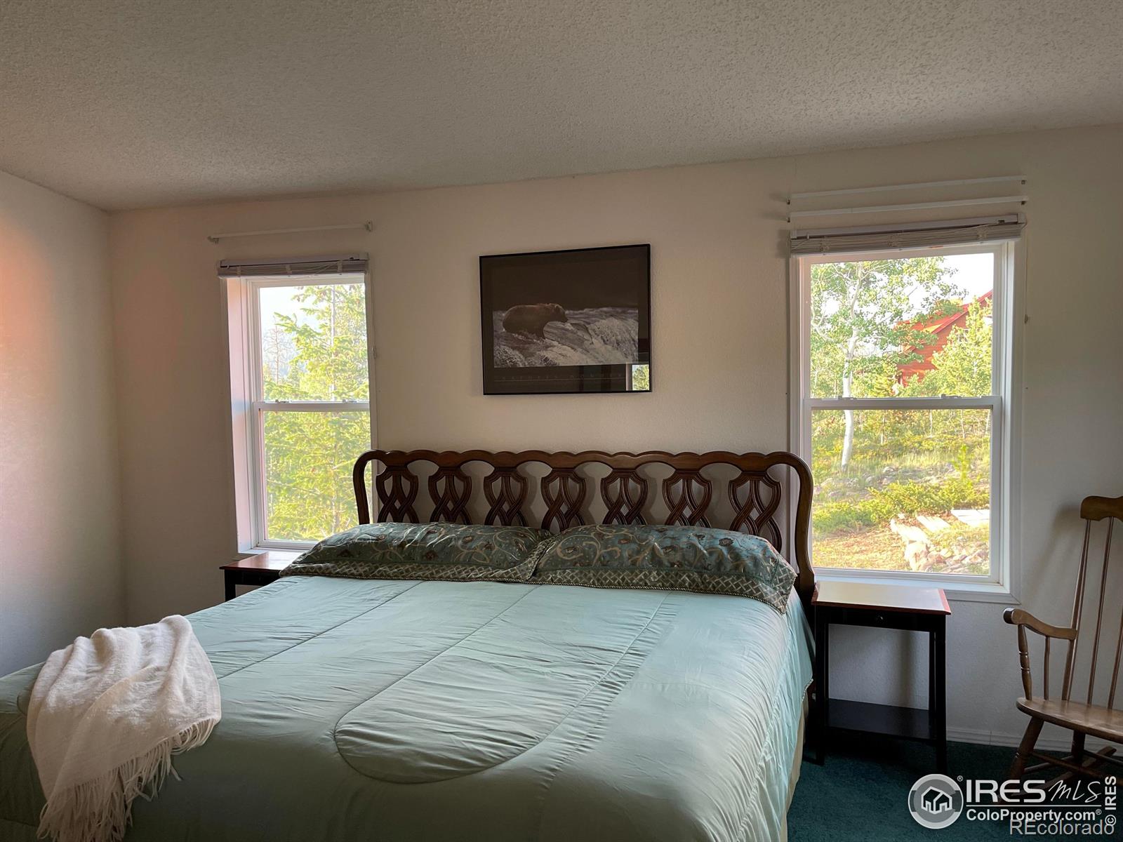 MLS Image #20 for 5547 n county road 73c ,red feather lakes, Colorado