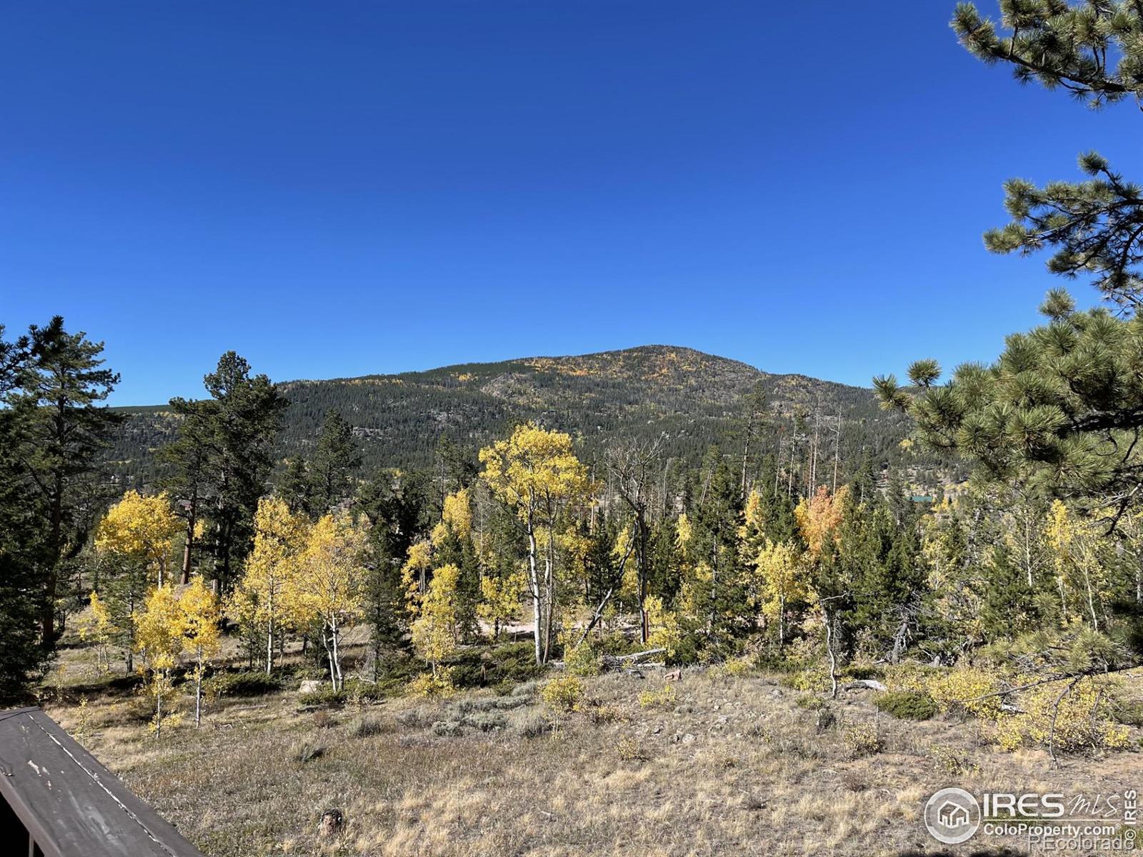 MLS Image #35 for 5547 n county road 73c ,red feather lakes, Colorado