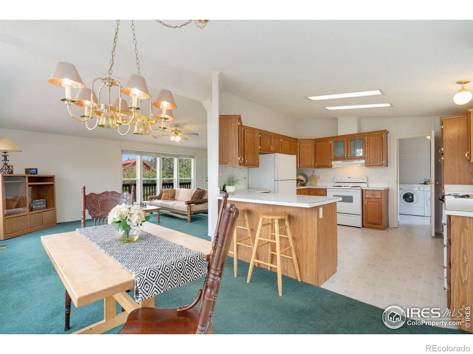 MLS Image #8 for 5547 n county road 73c ,red feather lakes, Colorado