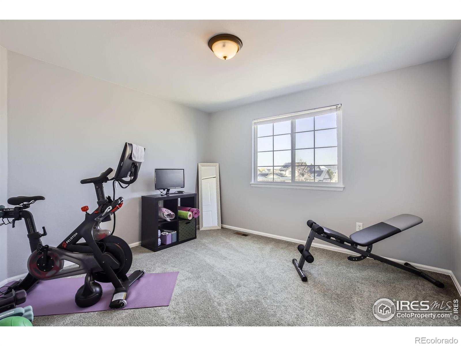 MLS Image #15 for 189  kitty hawk court,windsor, Colorado