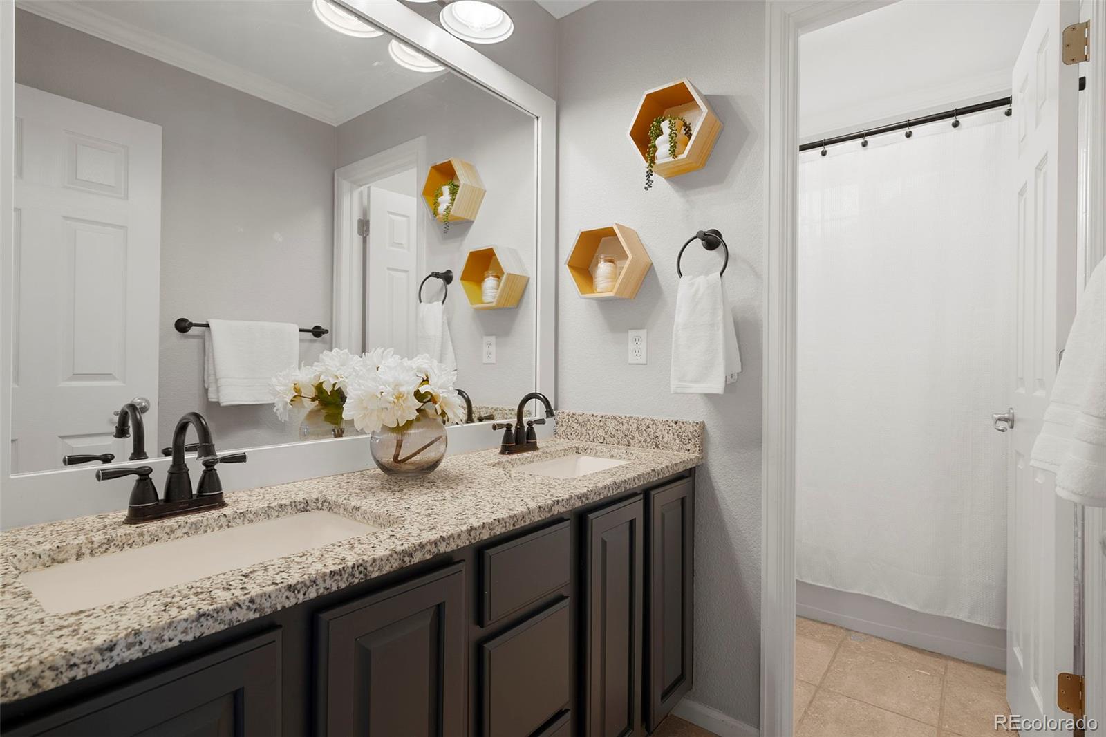 MLS Image #25 for 9713  crowsley court,parker, Colorado