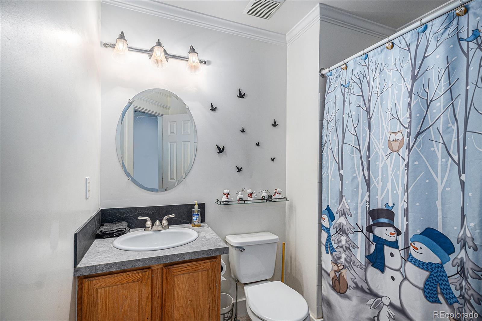 MLS Image #11 for 9626  whitecliff place,highlands ranch, Colorado