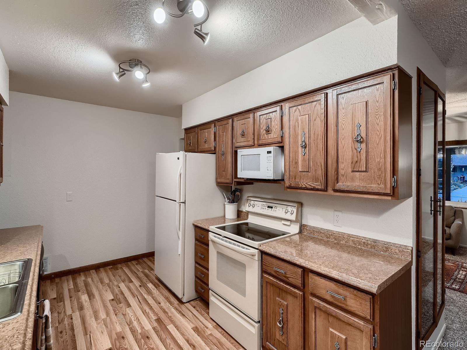 MLS Image #6 for 7112 s platte canyon drive,littleton, Colorado