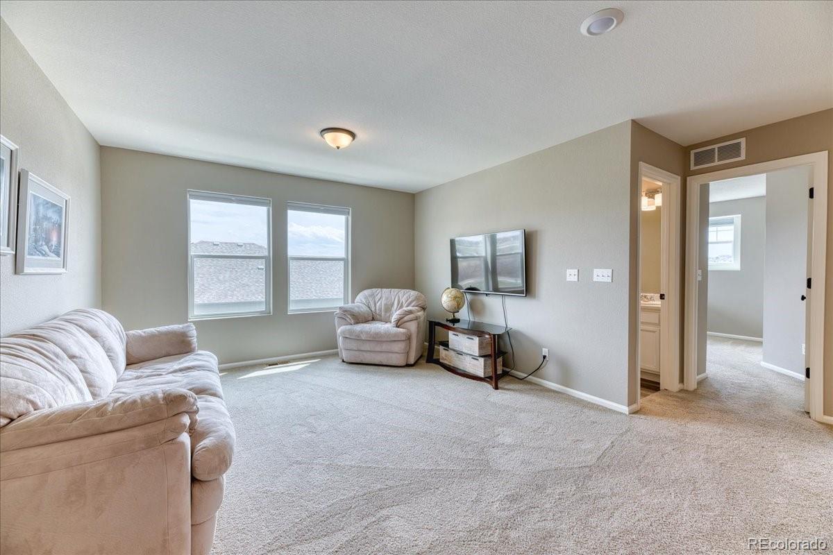MLS Image #14 for 6307  saddle bow avenue,parker, Colorado