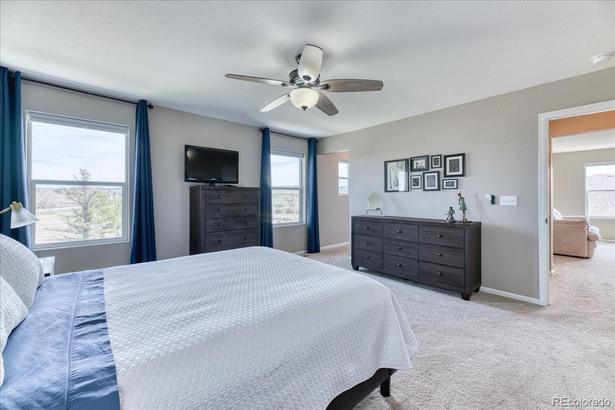 MLS Image #16 for 6307  saddle bow avenue,parker, Colorado