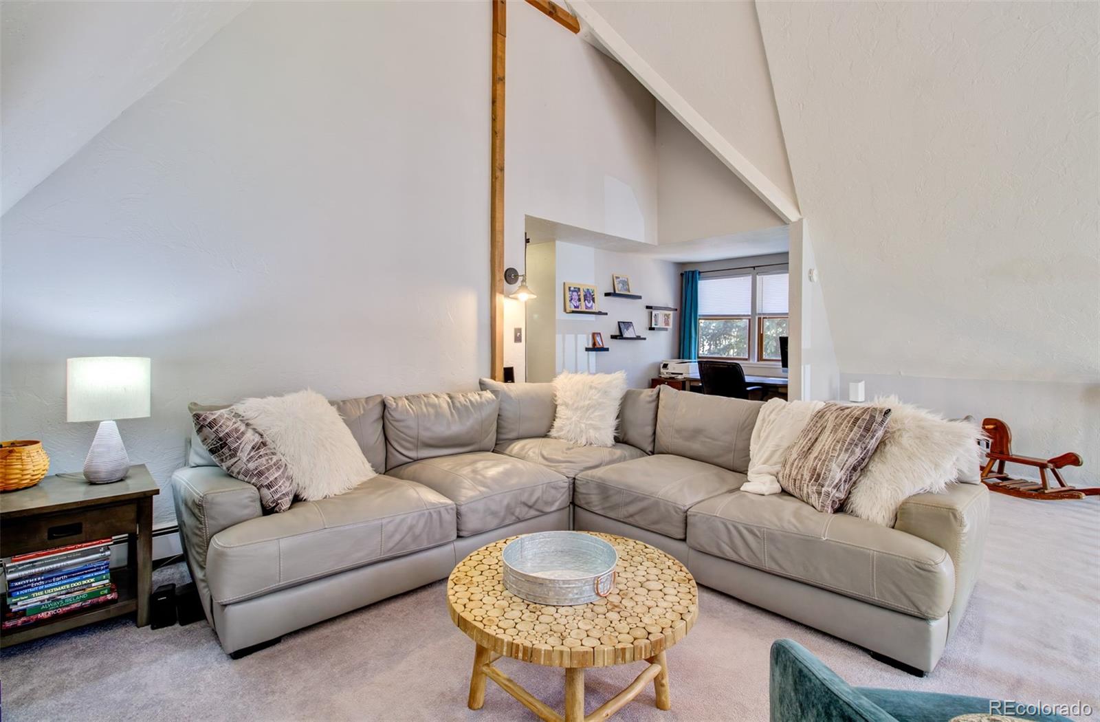 MLS Image #20 for 8716  chipata park road,cascade, Colorado