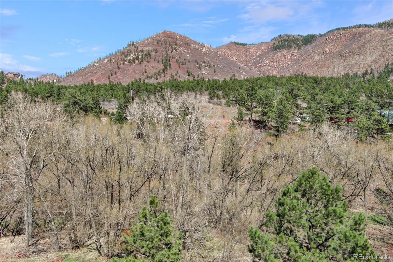 MLS Image #42 for 8716  chipata park road,cascade, Colorado