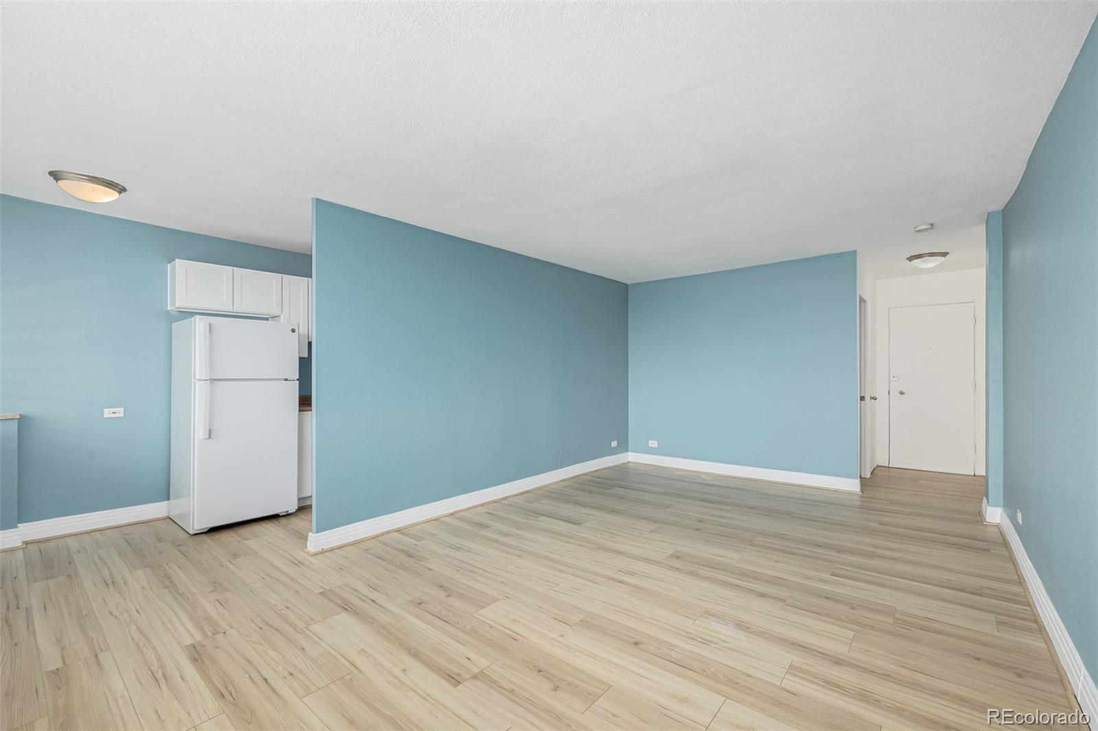 MLS Image #3 for 1196 n grant street,denver, Colorado
