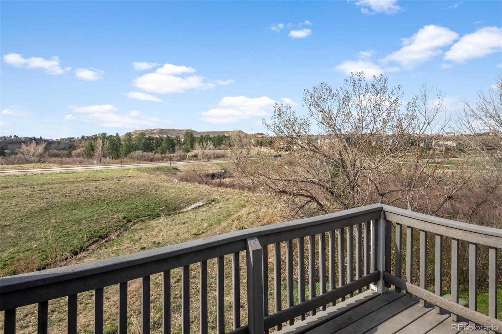 MLS Image #22 for 1291 s gilbert street,castle rock, Colorado
