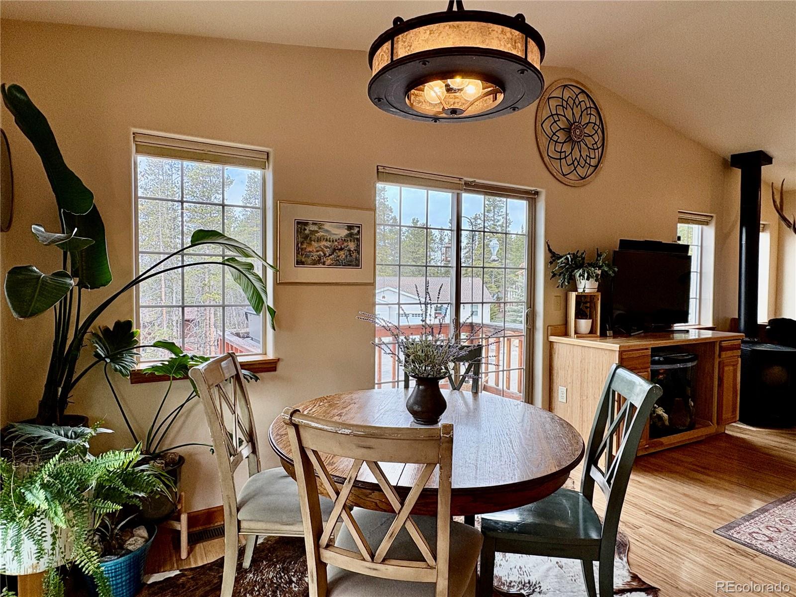 MLS Image #10 for 64  adelaide court,leadville, Colorado