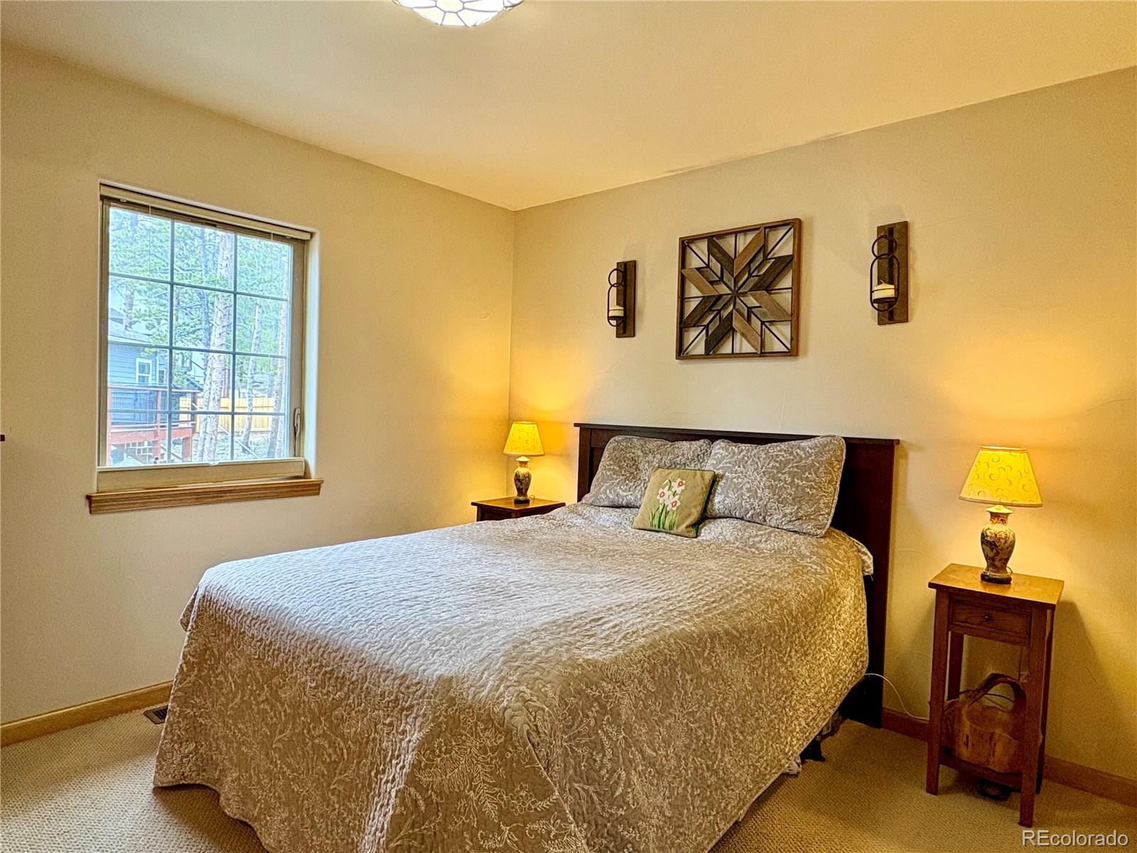 MLS Image #15 for 64  adelaide court,leadville, Colorado