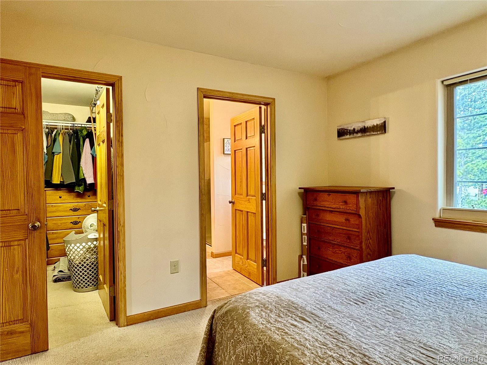 MLS Image #16 for 64  adelaide court,leadville, Colorado