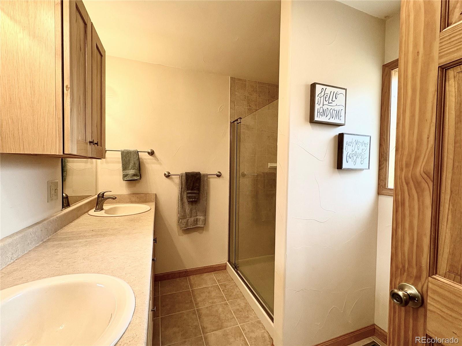MLS Image #18 for 64  adelaide court,leadville, Colorado