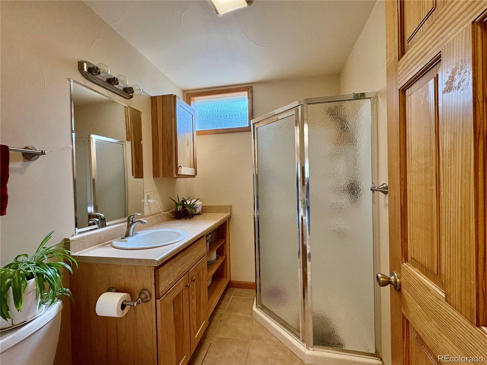 MLS Image #19 for 64  adelaide court,leadville, Colorado