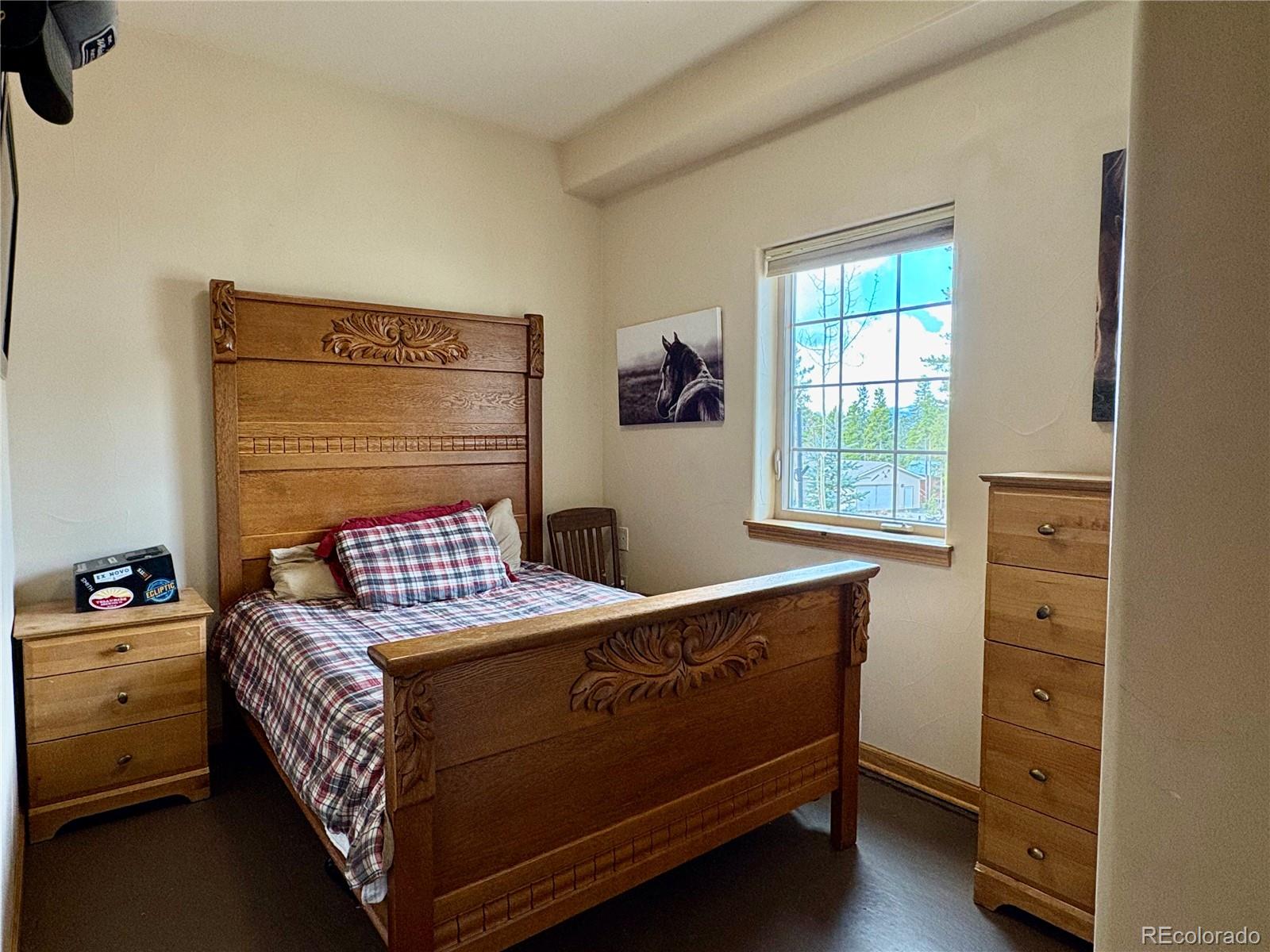MLS Image #22 for 64  adelaide court,leadville, Colorado