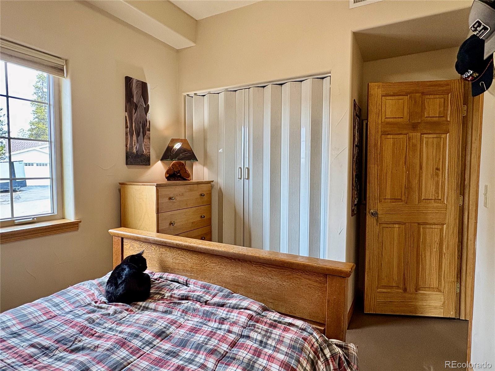 MLS Image #23 for 64  adelaide court,leadville, Colorado