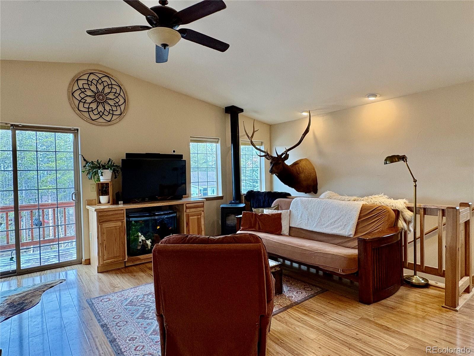 MLS Image #7 for 64  adelaide court,leadville, Colorado
