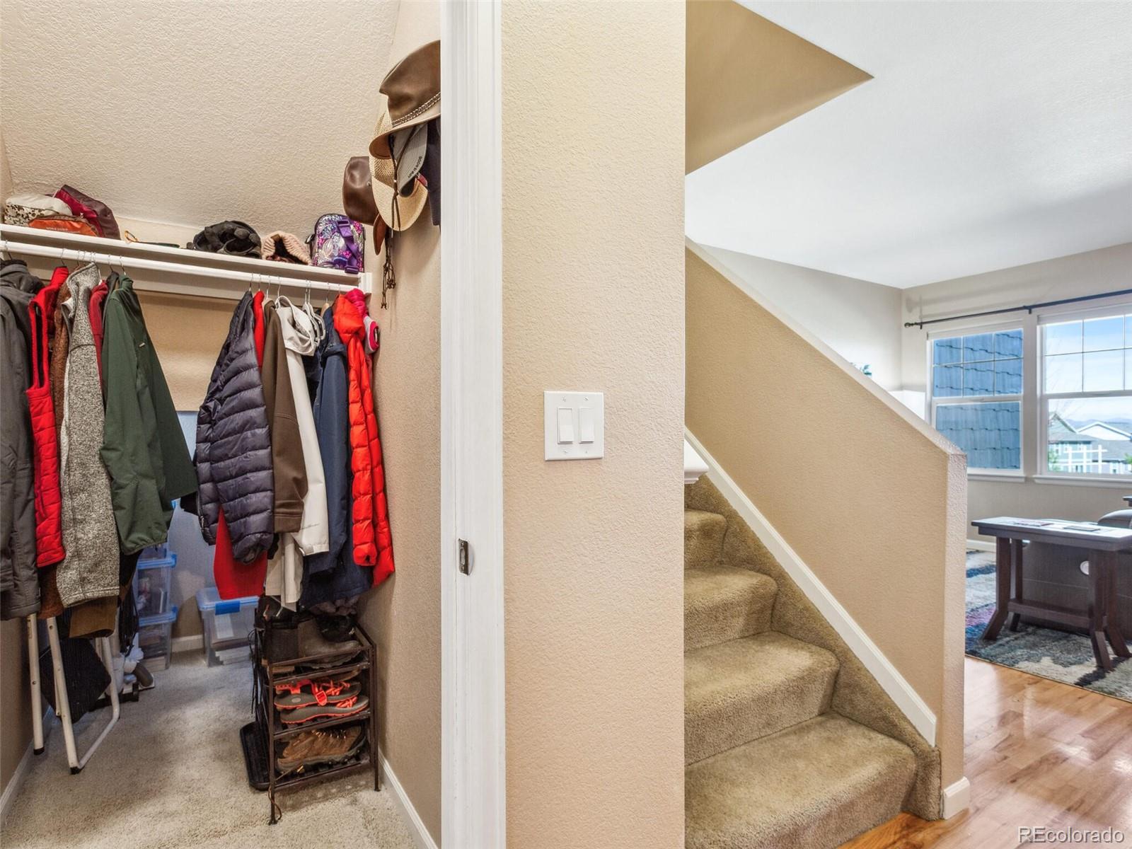 MLS Image #18 for 3893  ute mountain trail,castle rock, Colorado