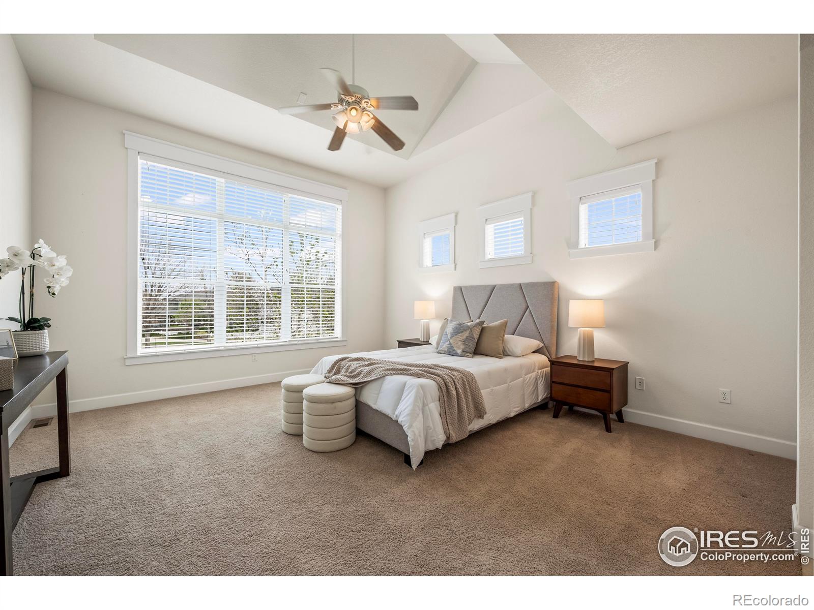 MLS Image #15 for 3122  notabon court,lafayette, Colorado
