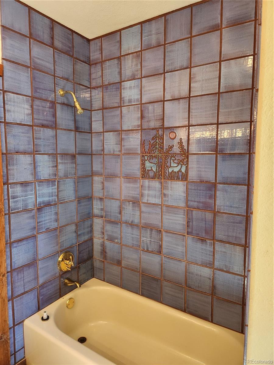 MLS Image #29 for 129  indian hill road,mosca, Colorado
