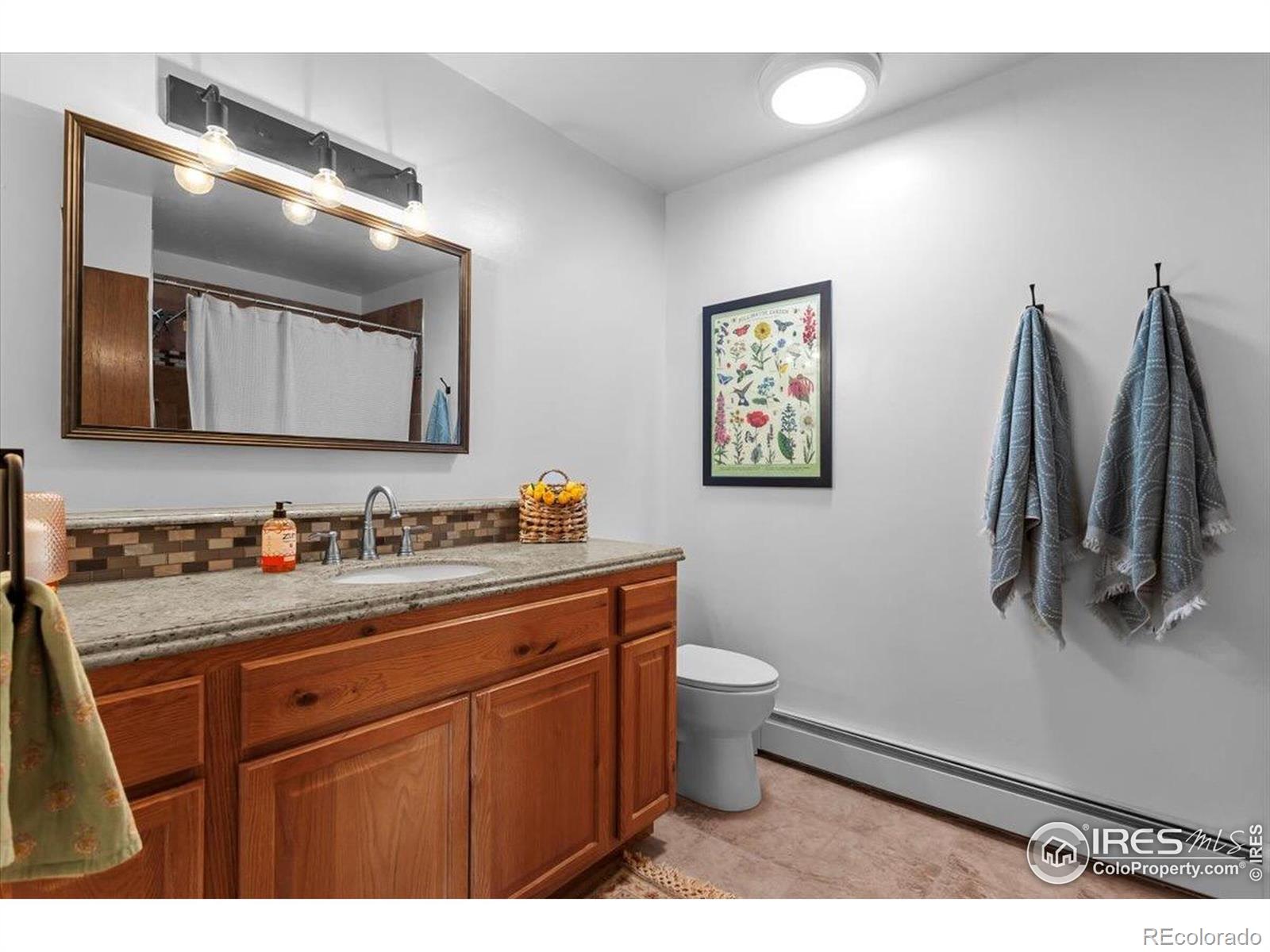 MLS Image #27 for 3005  white oak court,loveland, Colorado