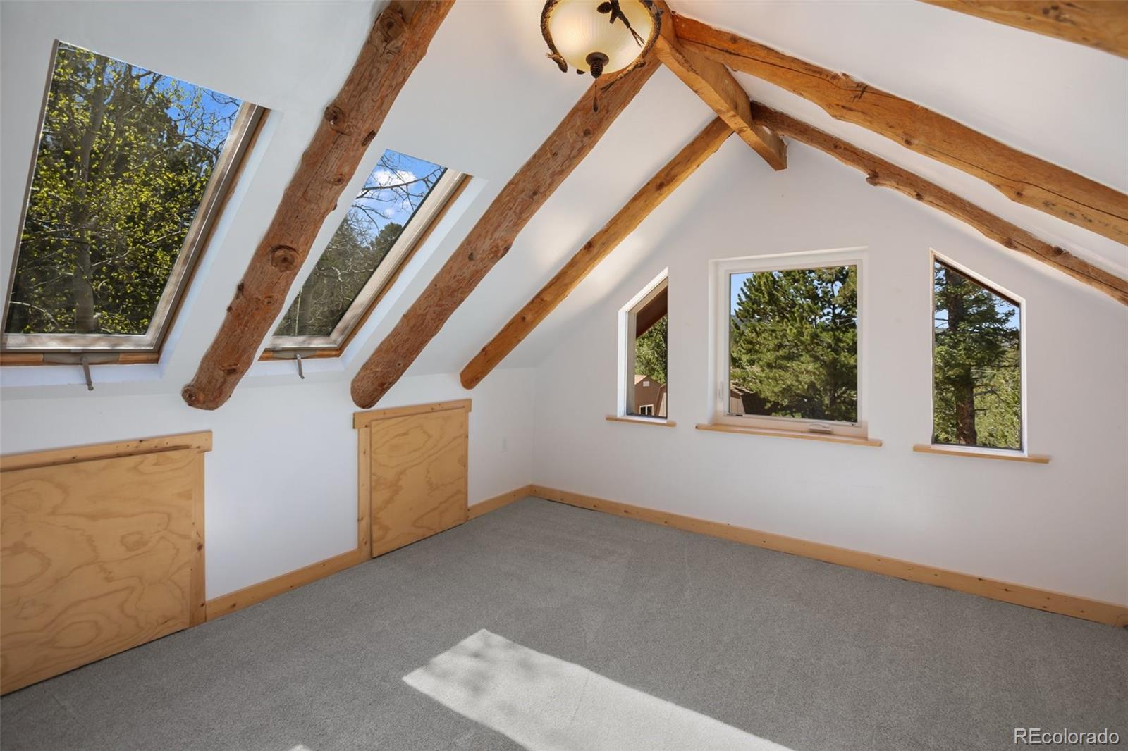 MLS Image #16 for 222  fluorite lane,divide, Colorado