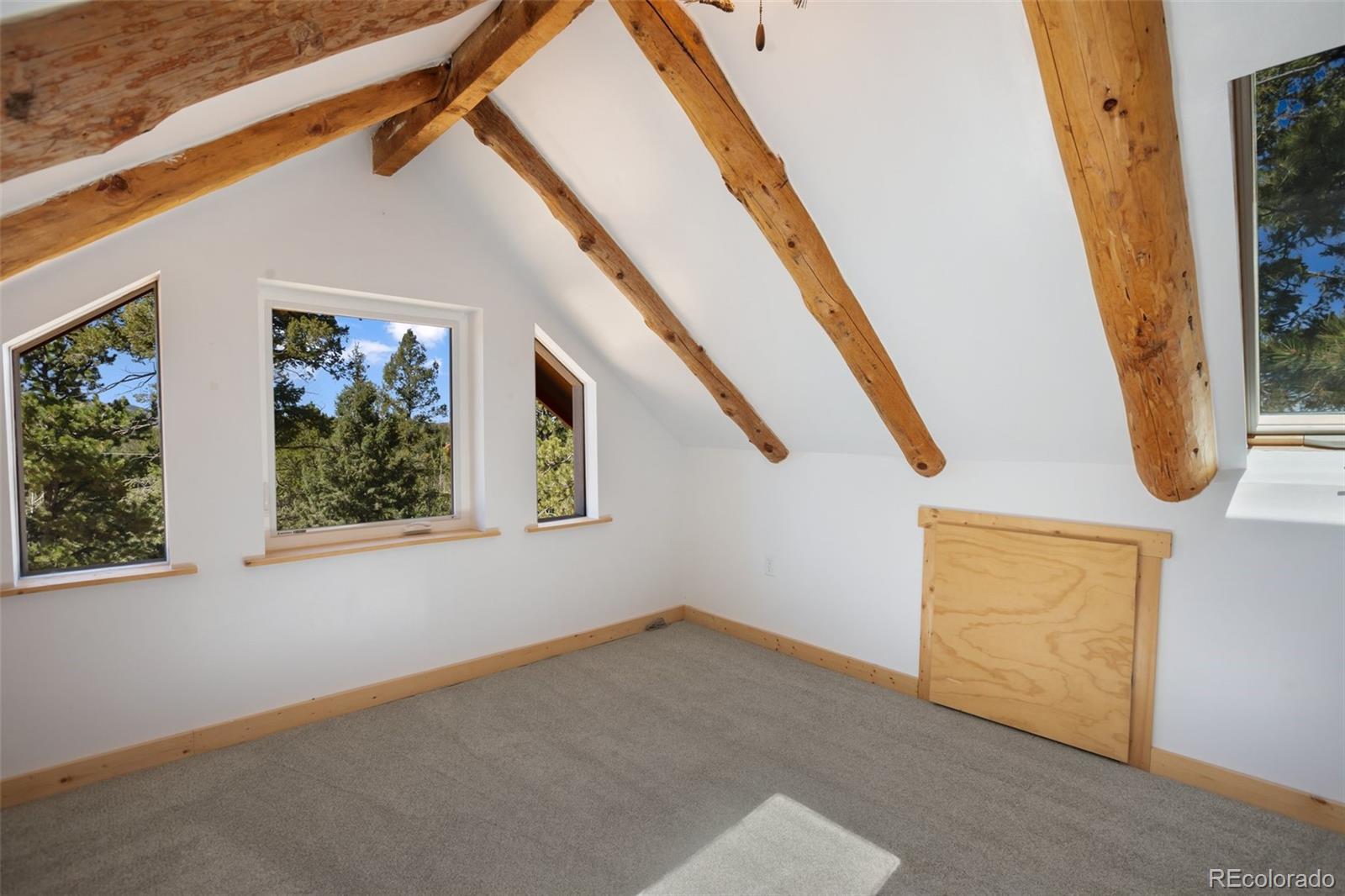 MLS Image #17 for 222  fluorite lane,divide, Colorado