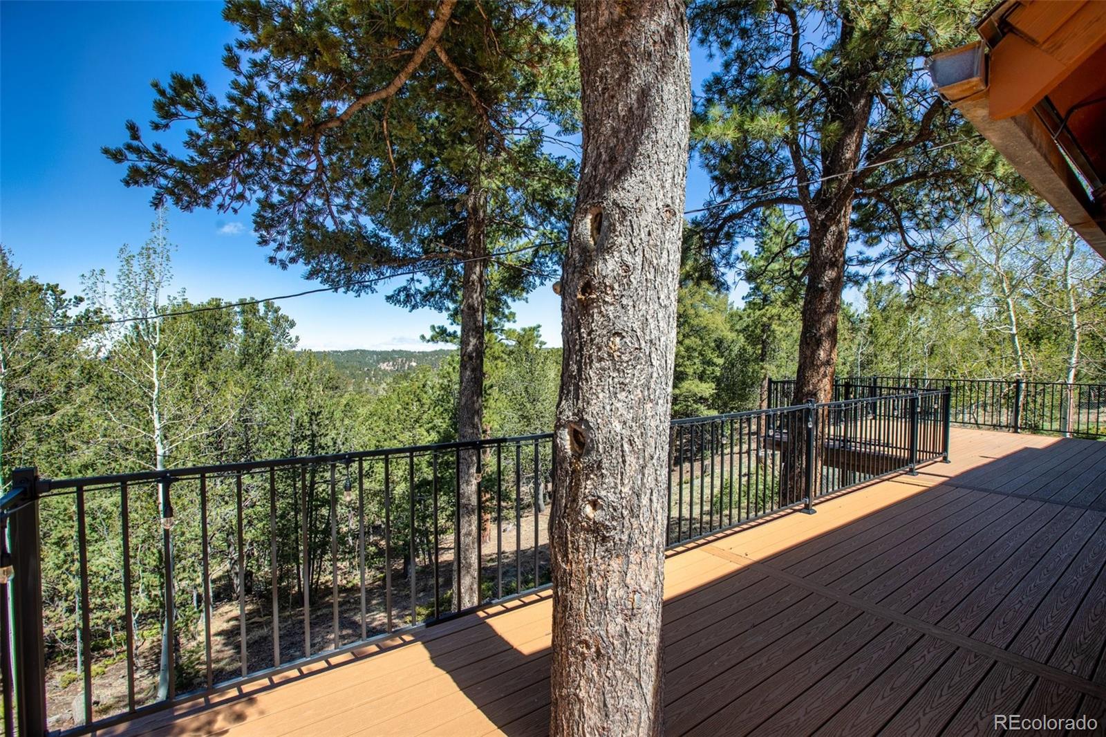 MLS Image #31 for 222  fluorite lane,divide, Colorado