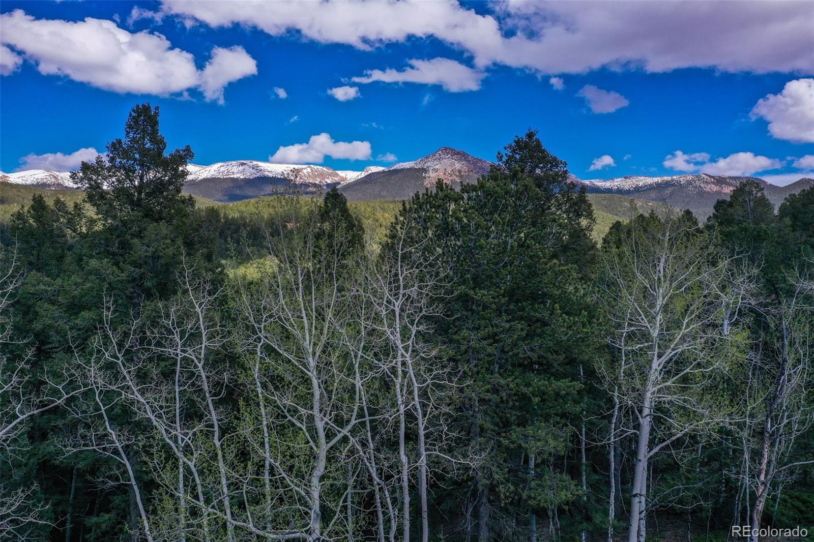 MLS Image #37 for 222  fluorite lane,divide, Colorado