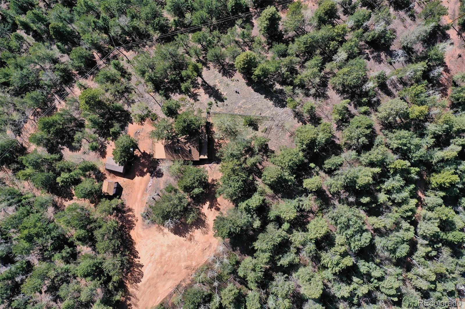 MLS Image #4 for 222  fluorite lane,divide, Colorado